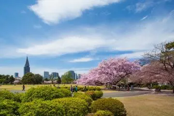 Kitanomaru Park
