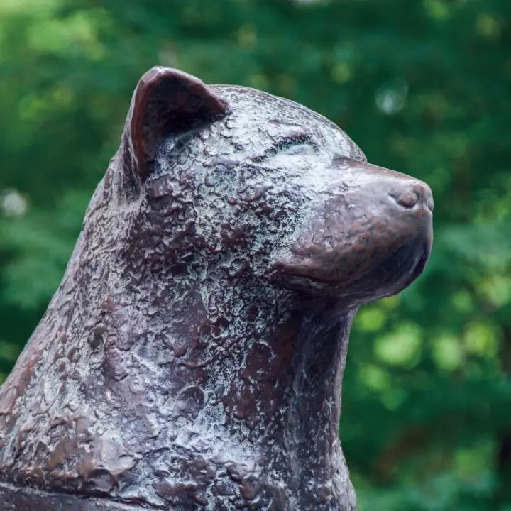 Hachiko Statue - Tokyo Attractions - Japan Travel