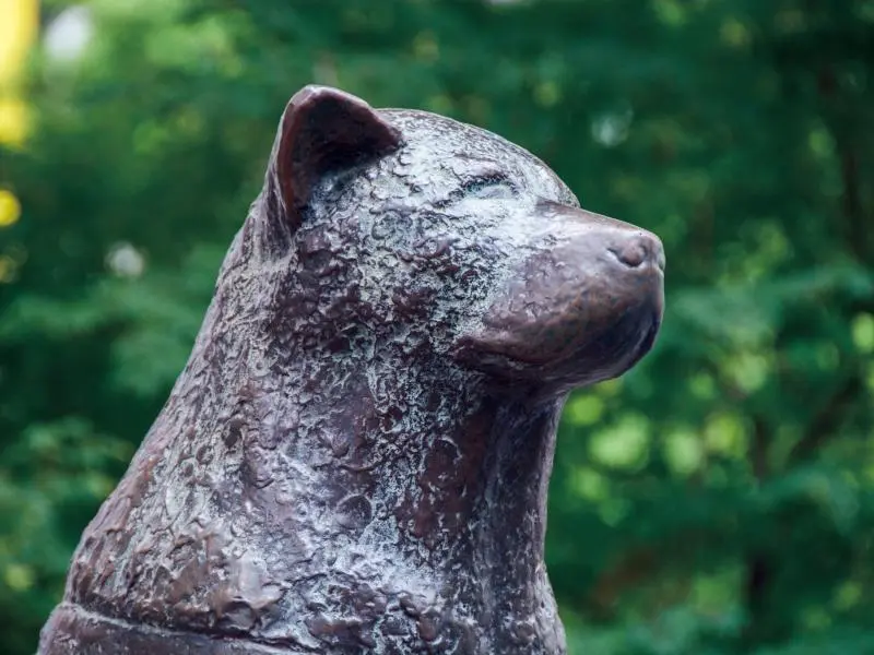 彫刻・オブジェ [SHIBUYA_031] Hachiko Statue - Tokyo Attractions - Japan Travel
