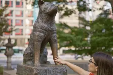 Hachiko Statue - Tokyo Attractions - Japan Travel