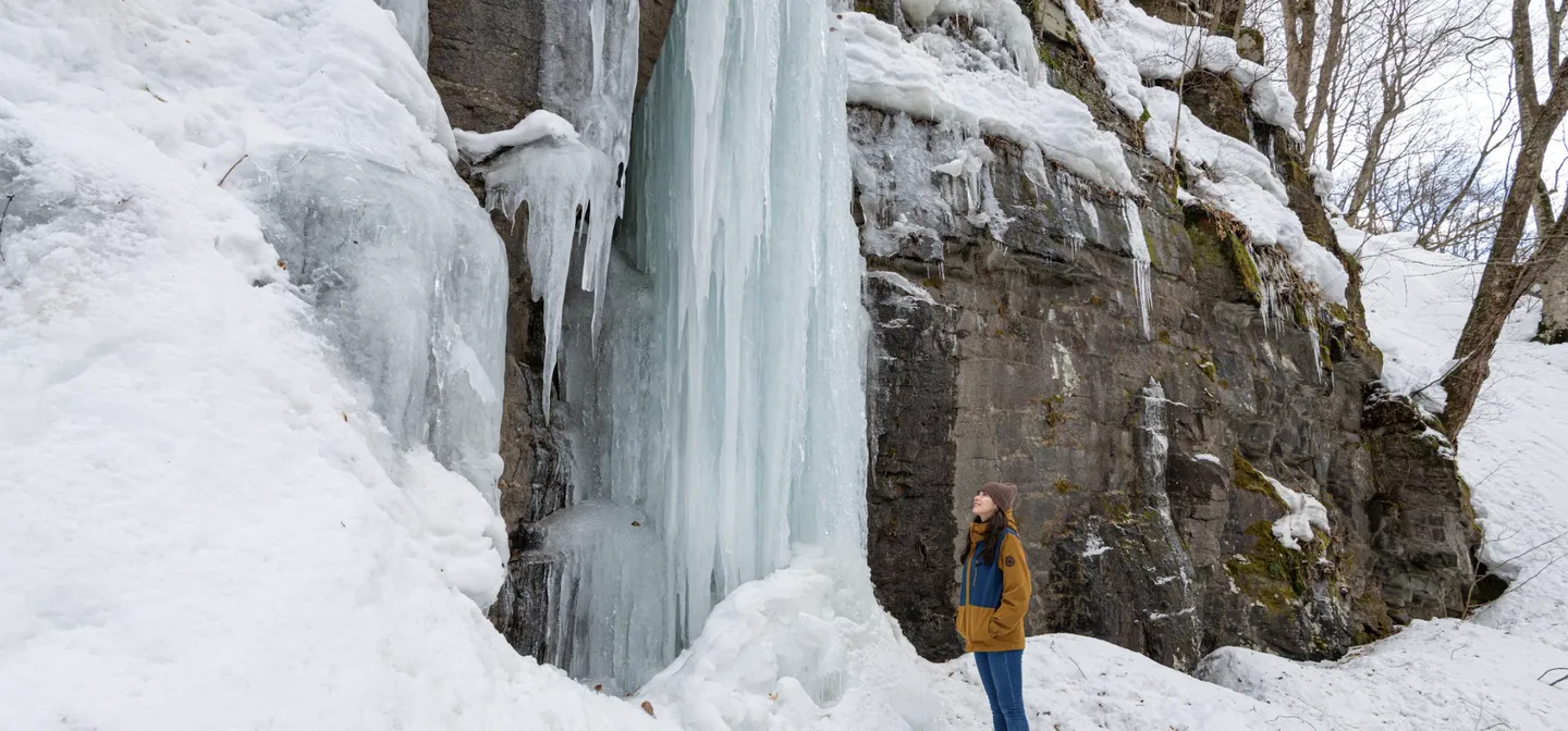 Ready for an Adventure in Aomori?
